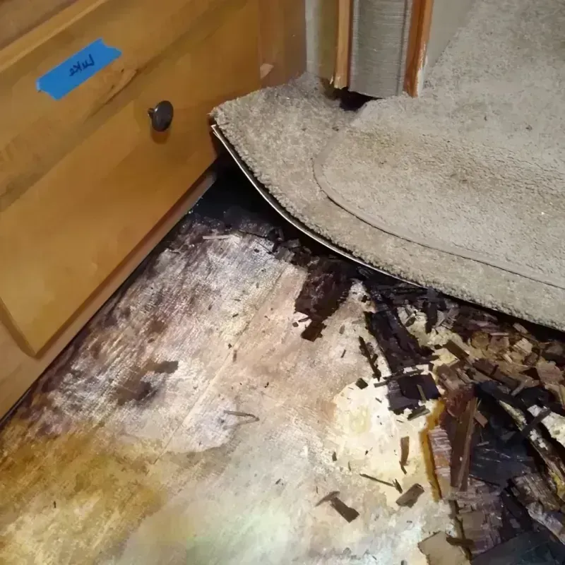 Wood Floor Water Damage in San Luis Obispo County, CA